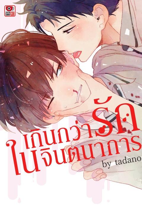 เกินกว่ารักในจินตนาการ